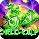 2015 world cup Premium Edition v5.2.6