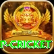 2022 world cup cricket Gold v1.3.5