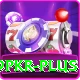 9pkr Apps (Tools & Injectors) Plus v2.3.4