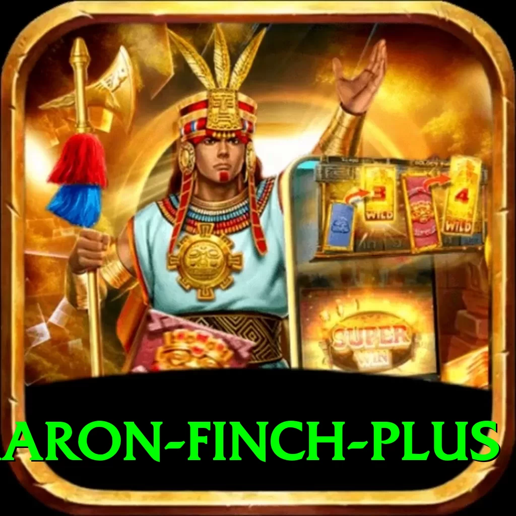 aaron finch - VIP Edition v4.1.1 - 2