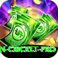 australian cricket Casino King v4.7.4
