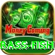 bass fish Pro
