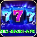 bbl big bash apk Elite Pro v3.0.8