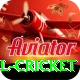 bbl cricket Games (Casino & Earning) Ultimate v2.8.6