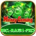 big bash Game Champion v1.1.7