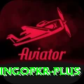 bingopkr Apps (Tools & Injectors) Elite v4.4.9