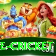 bpl live cricket Pro v3.9.7