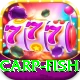 carp fish Max v4.2.4