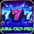 cricket asia cup Deluxe PK v5.7.9