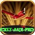 cricket aus Slots Royal v2.5.8
