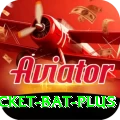 cricket bat Money Prime v3.7.5