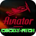 cricket pitch Premium Edition v1.9.9