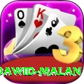 dawid malan Plus v2.2.7