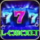 defending total cricket Premium Plus v1.9.5