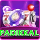 devdutt padikkal Pro v2.0.0