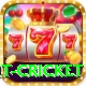 early payout cricket Games (Casino & Earning) Ultimate v4.9.0