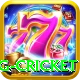 eng cricket Pro1 v1.5.6