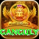 ganguly Apps (Tools & Injectors) Pro v4.8.9