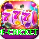 god of cricket Apps (Tools & Injectors) Elite v4.7.4