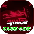 grass carp Gold v5.4.9