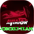 hong kong cricket team Turbo v5.4.9