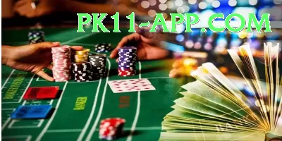 Pakwin777 Pro Edition v5.3.9 Screenshot 2 - 4