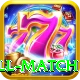 ind all match Pro v4.6.5