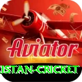 india pakistan cricket Premium Plus v4.8.6