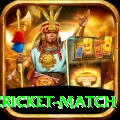 india pakistan cricket match Master v1.3.6