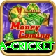 india sri lanka cricket VIP Edition v5.4.2