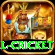 international cricket Elite v3.1.7