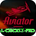 international cricket Slots Turbo v3.8.1