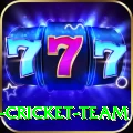 ireland cricket team Deluxe Pro v5.9.0