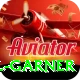 joel garner Elite v2.5.1