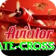 kate cross VIP Pro v2.4.9