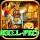 morne morkel Casino Elite v2.2.4