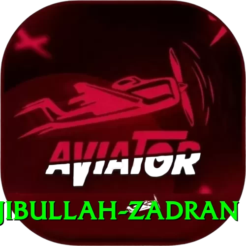 najibullah zadran VIP Pro v5.2.6 - 2