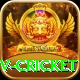 ndtv cricket Elite v2.7.0