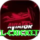 nepal cricket Pro v4.3.4