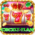 netherlands cricket team Ultimate Pro v3.6.2