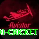 odi cricket VIP v4.2.0