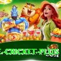 one cricket Premium New