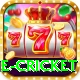 online cricket Elite v4.7.8