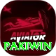 Pakiwin Pro1 v4.0.3