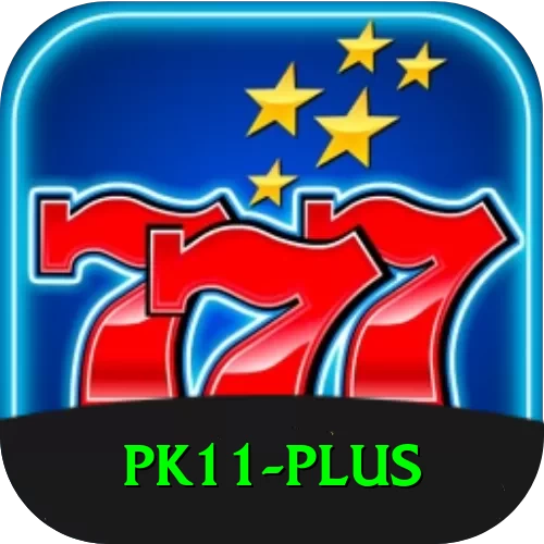 pk11 Max Pro v3.6.3 - 2
