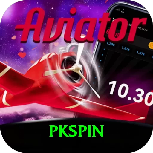 pkspin Pro v3.0.6 - 2