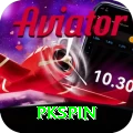 pkspin Pro v3.0.6