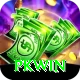 PKWin Plus Pro vv4.0.3