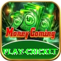 play cricket Apps (Tools & Injectors) VIP v2.8.5