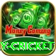 play cricket Apps (Tools & Injectors) VIP v2.8.5